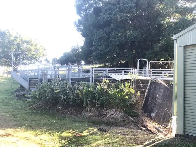 Fourth view of Homely rural property listing, 424 Boatharbour Road, Boat Harbour NSW 2480