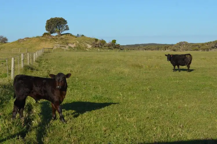 Fourth view of Homely rural property listing, Lot 10 Bog Lane, Robe SA 5276