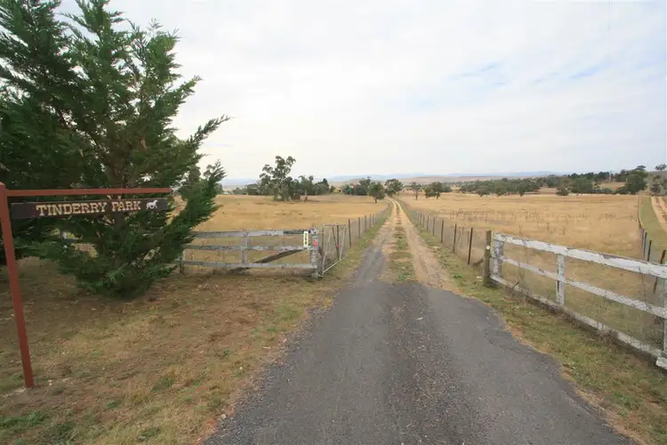 Fourth view of Homely rural property listing, 268 Bunyanvale Road, Cooma NSW 2630