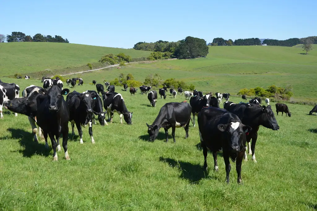 Main view of Homely rural property listing, 240 Slade Hill Road, Welshpool VIC 3966