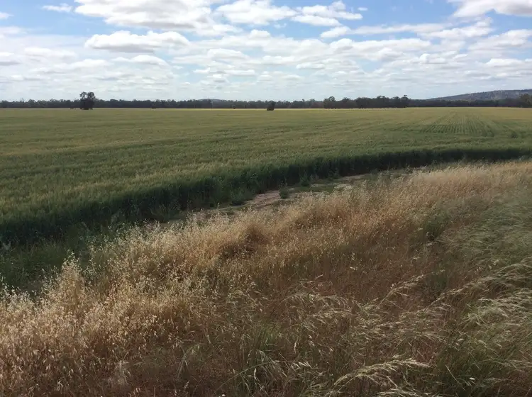 Sixth view of Homely rural property listing, Address available on request