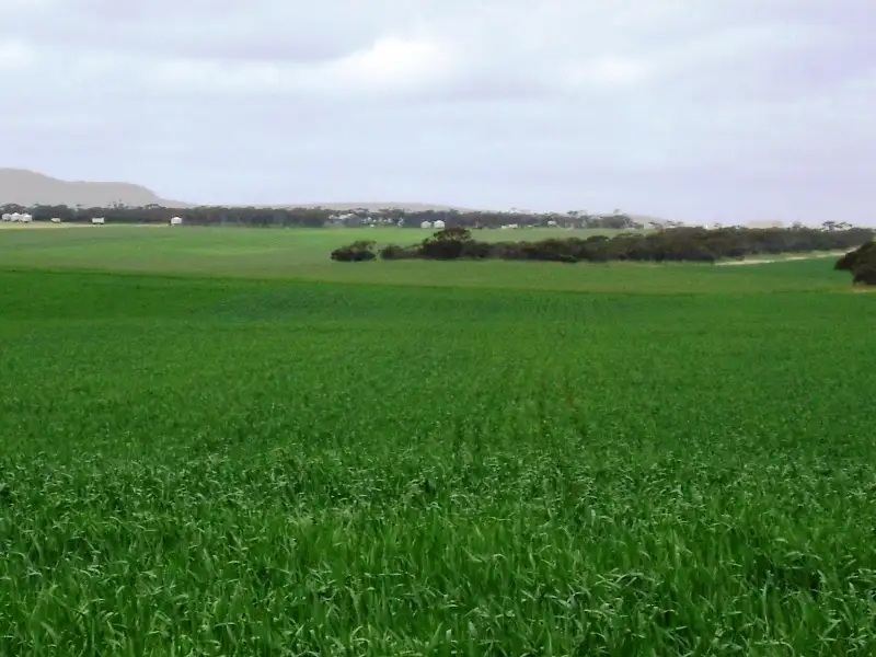 Main view of Homely rural property listing, - Rangeview Road, Darke Peak SA 5642