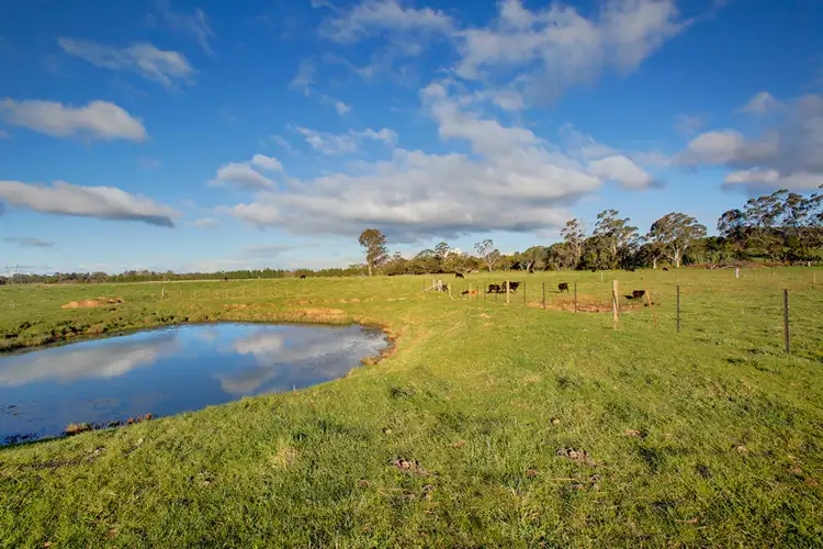 Fifth view of Homely rural property listing, Yooralla 353 Yarrawa Rd, Moss Vale NSW 2577