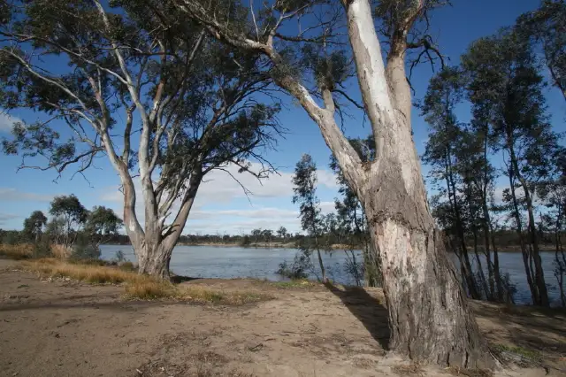Second view of Homely house listing, 173 Casson Avenue, Loxton SA 5333