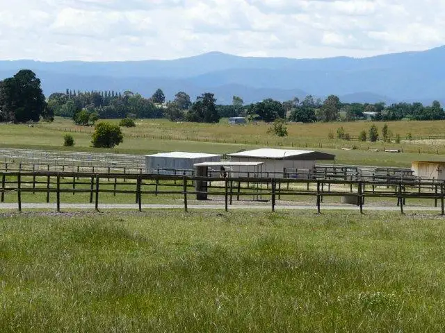 Fourth view of Homely rural property listing, 16-18 Coldstream West Road, Coldstream VIC 3770