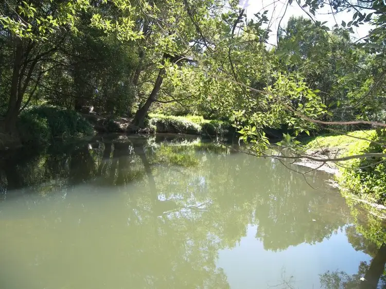 Fourth view of Homely rural property listing, 59 Crabbes Creek Rd, Crabbes Creek NSW 2483