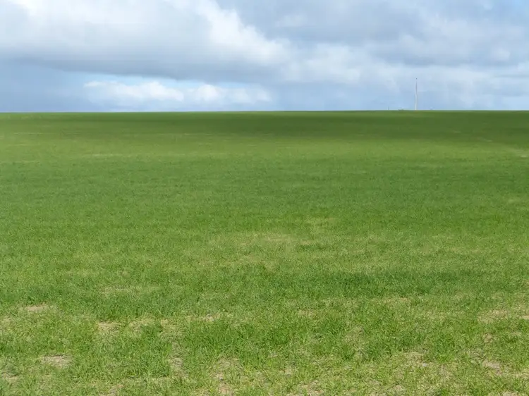 Third view of Homely rural property listing, 973 Bews Nth Rd, Lameroo SA 5302