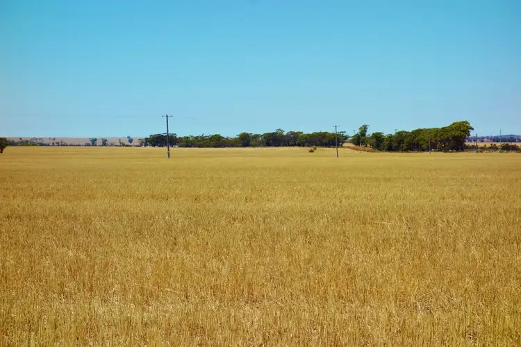Seventh view of Homely rural property listing, "Wangumma" 1457 Dandagin Road, Jilakin WA 6365