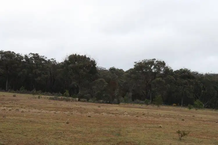 Sixth view of Homely rural property listing, 840 Kooringaroo Rd, Goulburn NSW 2580