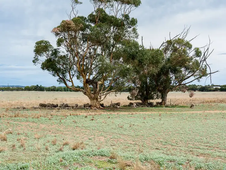 Sixth view of Homely land listing, 150 Nine Mile Road, Strathalbyn SA 5255