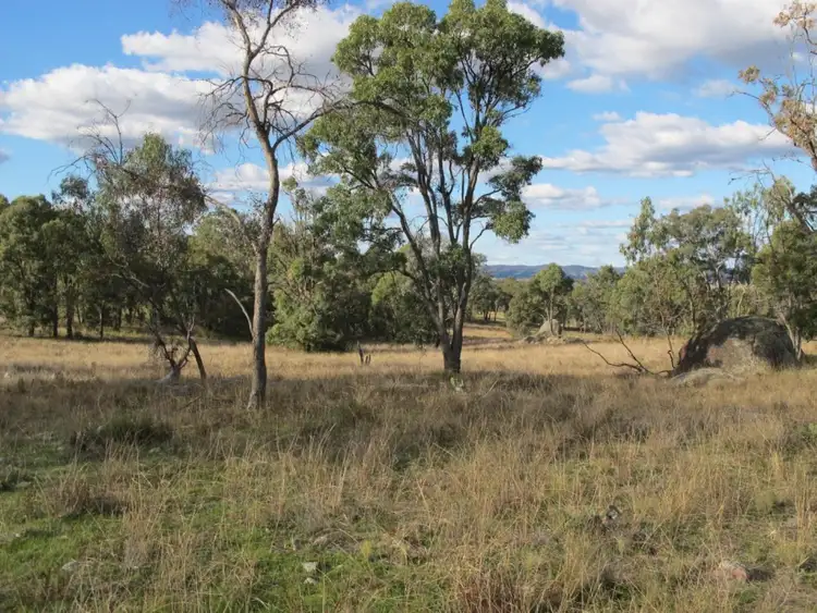 Third view of Homely rural property listing, 'Bobadah' 1479 Ulan Road, Mudgee NSW 2850