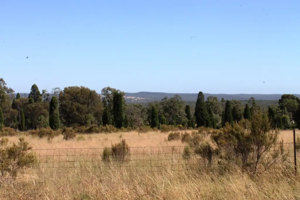 Main view of Homely rural property listing, 797 Ridge Rd, Mudgee NSW 2850