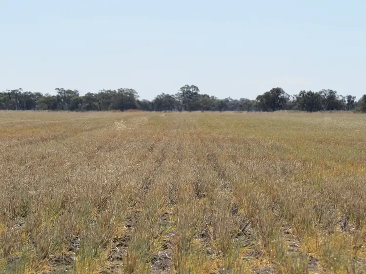 Second view of Homely rural property listing, "Corraleigh" Merriginnie Lane, Wakool NSW 2710