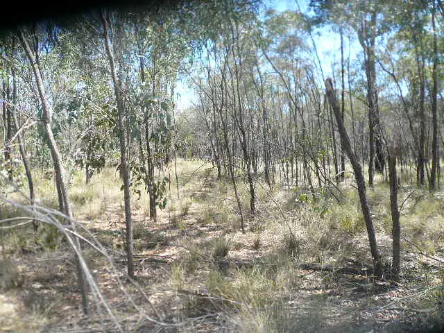 Second view of Homely rural property listing, 34 ARNOLDS ROAD, Tara QLD 4421