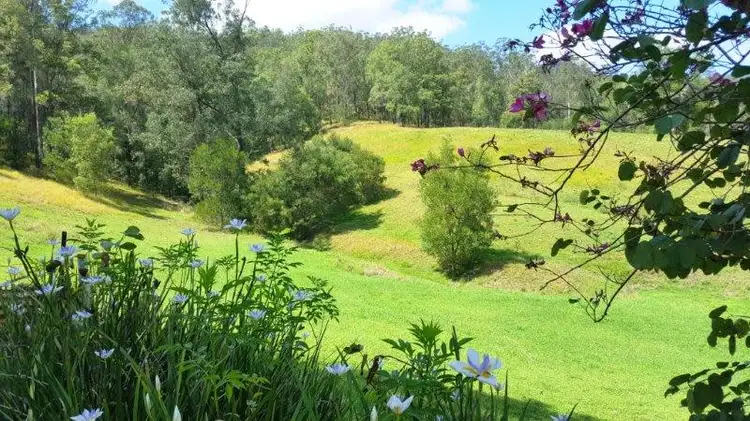Main view of Homely house listing, 439 Upper Buckrabendinni Road, Buckra Bendinni NSW 2449