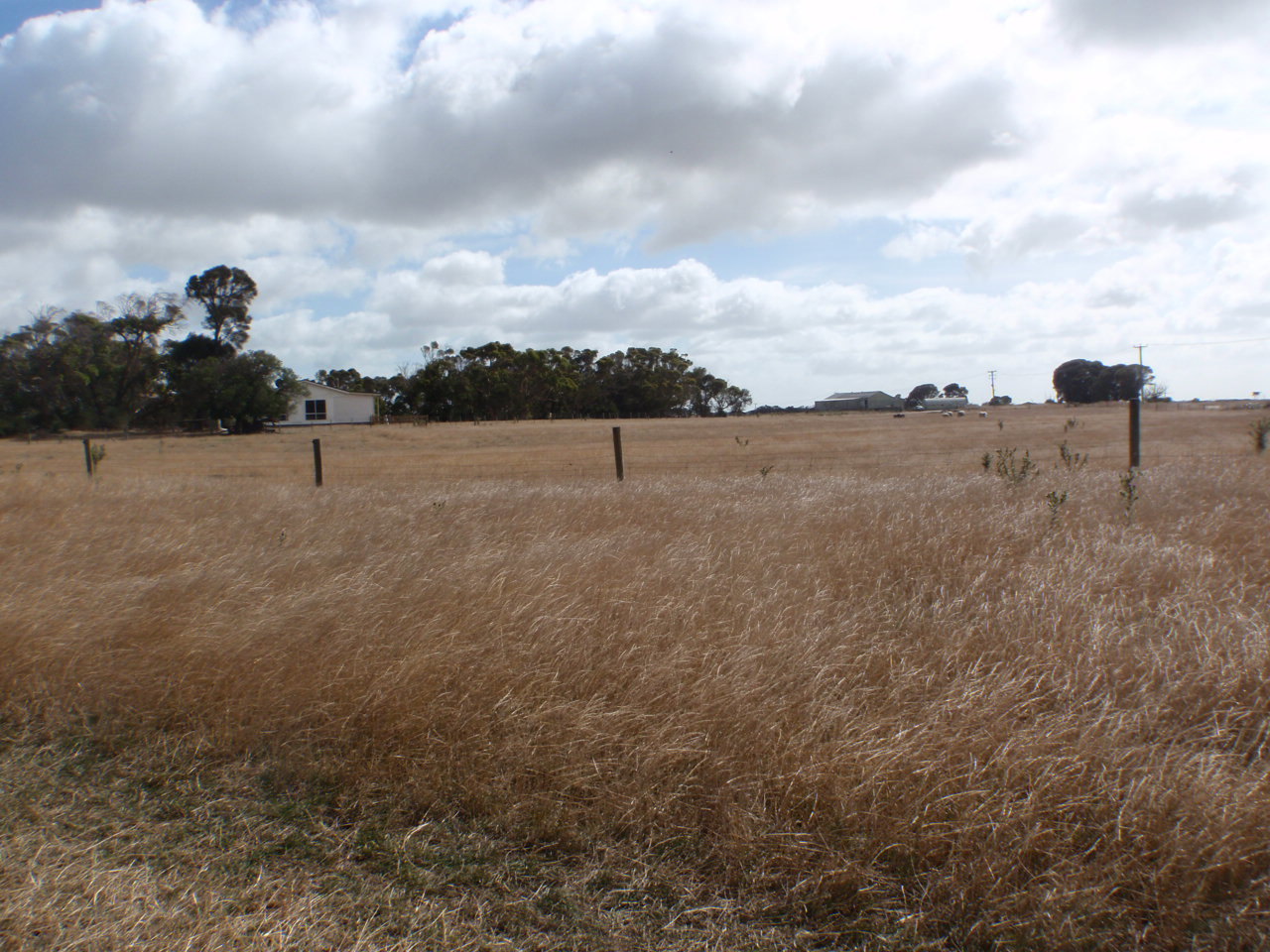 665 Melrose Road, Flinders Island TAS 7255