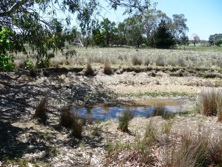 Seventh view of Homely house listing, 138 Raglan-Elmhurst Road, Raglan VIC 3373