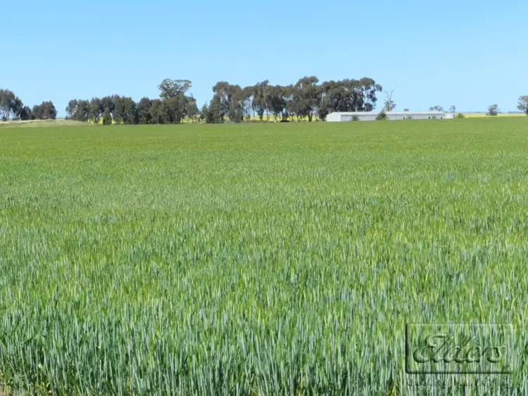 Fifth view of Homely house listing, 285 Bells Lucas Road, Marong VIC 3515