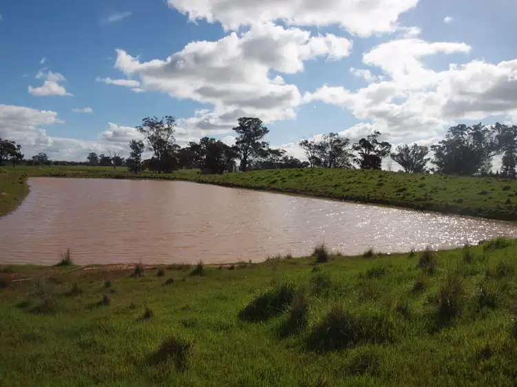 Third view of Homely rural property listing, - Yallambi, Bribbaree NSW 2594