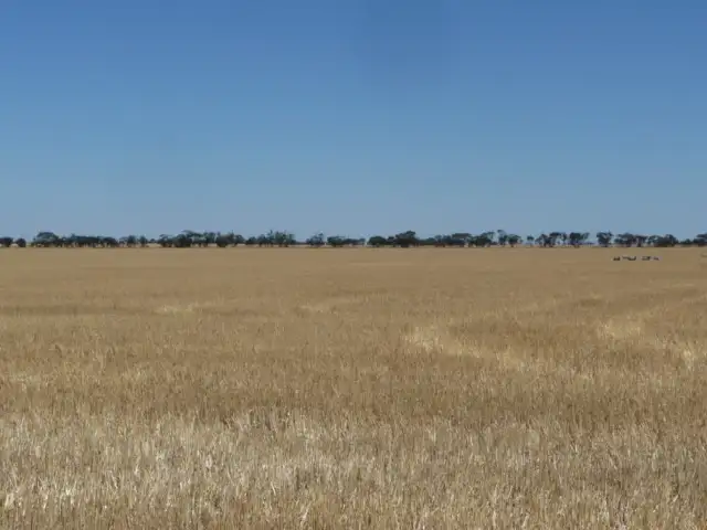 Sixth view of Homely rural property listing, Address available on request