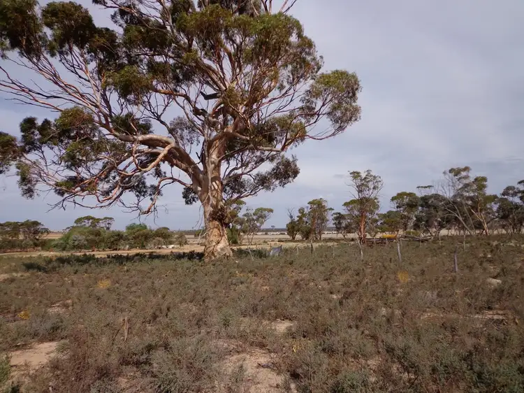 Lot 14 Korbrelkulling Road, Hines Hill WA 6413