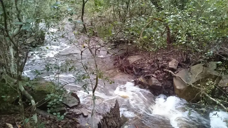 Sixth view of Homely rural property listing, Address available on request