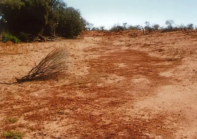 Fifth view of Homely land listing, Lot 6364 Victoria Location, Mullewa WA 6630