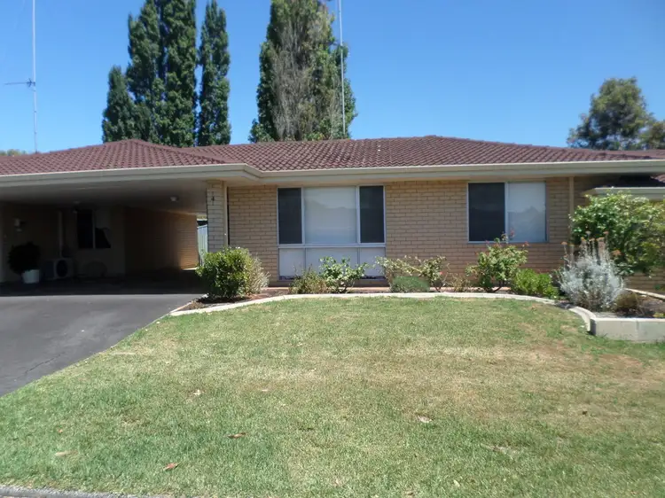 Main view of Homely house listing, Unit 4/26 Graphite Road, Manjimup WA 6258