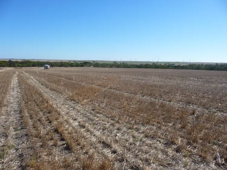 Seventh view of Homely rural property listing, Lot 103 Kulde Road, Tailem Bend SA 5260