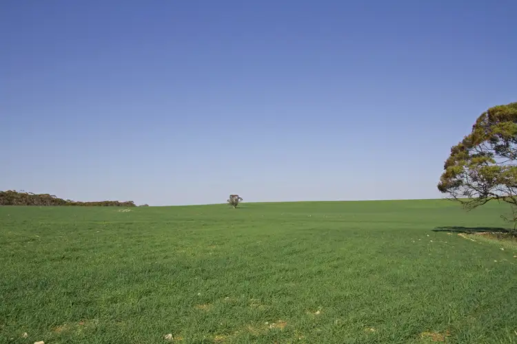 Third view of Homely rural property listing, Section 1 Hundred of Holder, Maggea SA 5311