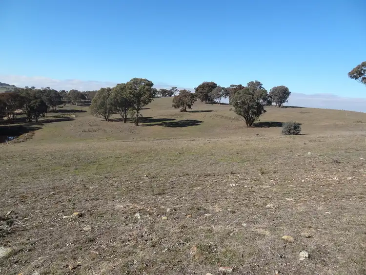 Sixth view of Homely house listing, 319 Willow Tree Lane, Mount Rankin NSW 2795