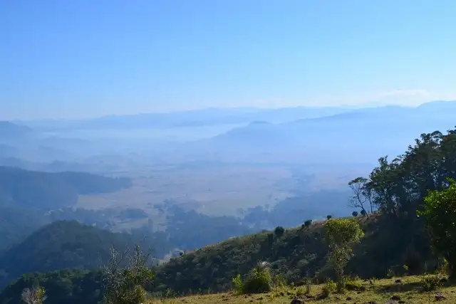 Seventh view of Homely rural property listing, Lot 145 Costigans Road, Yarras NSW 2446