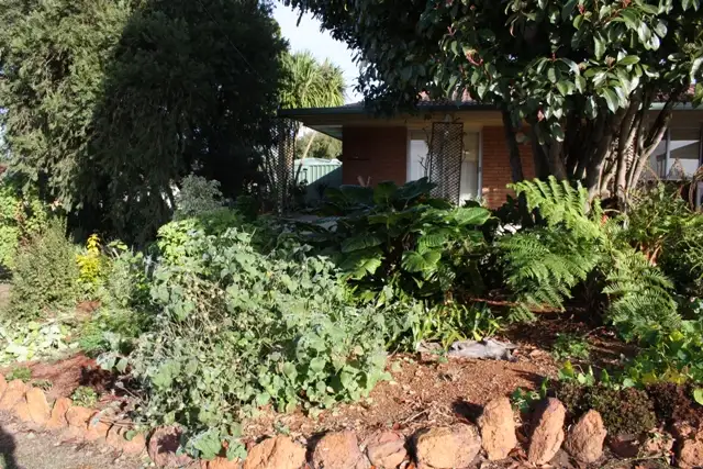 Second view of Homely house listing, 11 Karri Street, Manjimup WA 6258