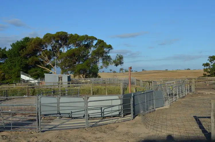 Fourth view of Homely rural property listing, 1451 Broadview Road, Padthaway SA 5271