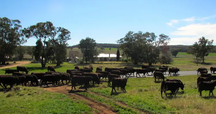 "Uliman" Purlewaugh Rd, Coonabarabran NSW 2357