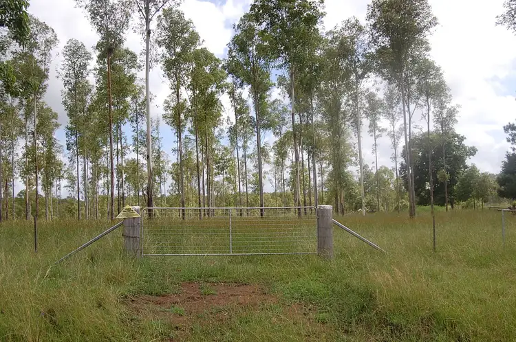 Fourth view of Homely rural property listing, Corner of Knights Road and Dunns Road, Doubtful Creek NSW 2470