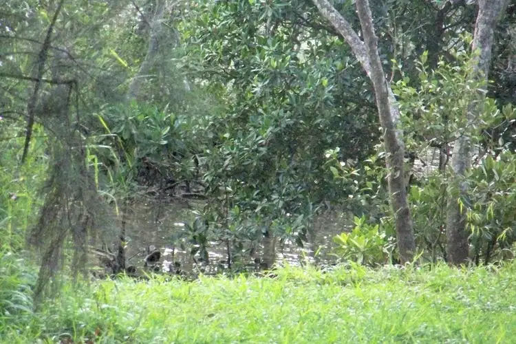 Seventh view of Homely land listing, 27 GOODSELL CRES, Lamb Island QLD 4184