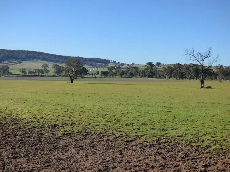 Fifth view of Homely land listing, 130 Wambanumba Drive, Young NSW 2594