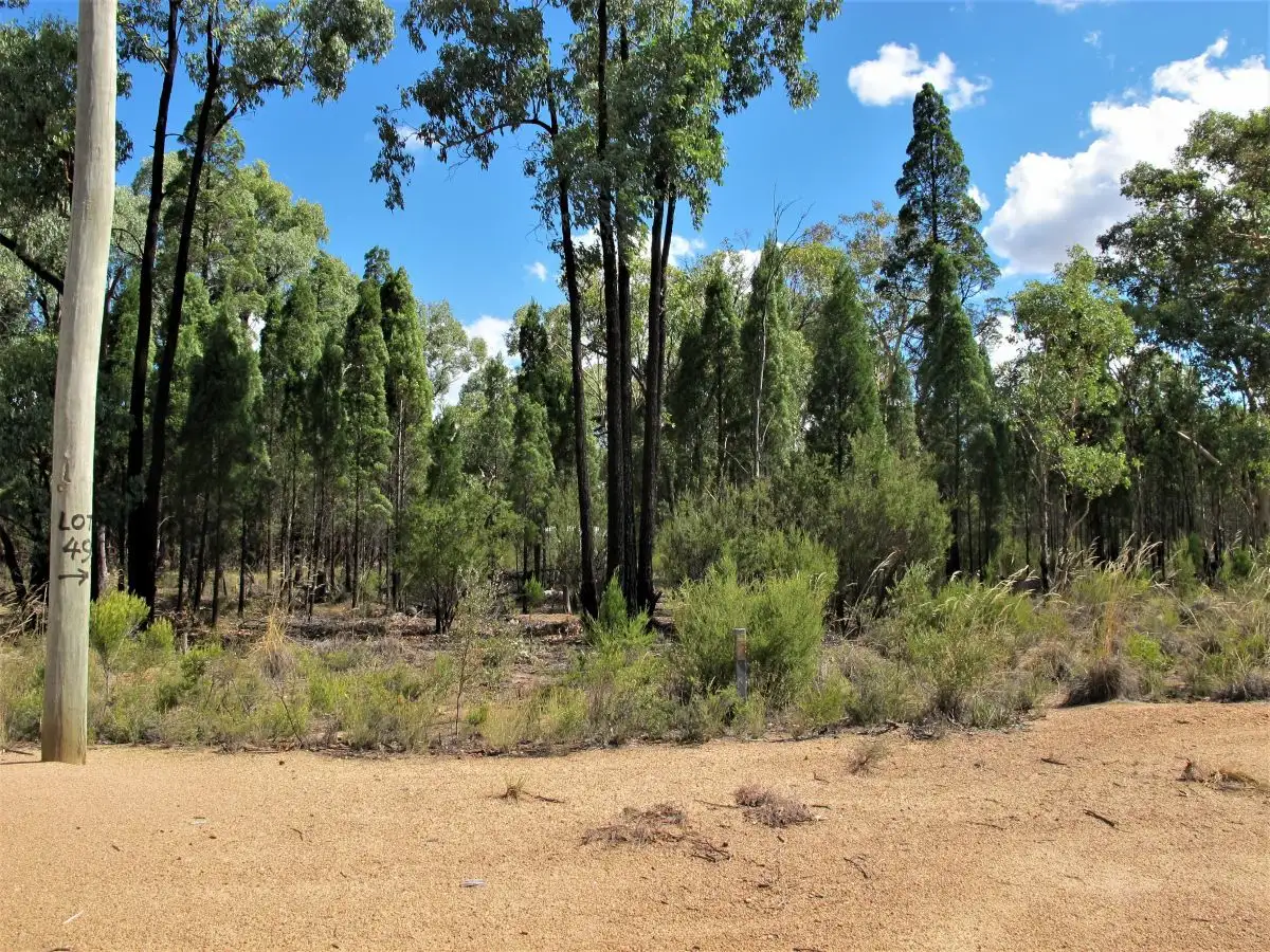 Main view of Homely rural property listing, 58 Pine Close, Mudgee NSW 2850