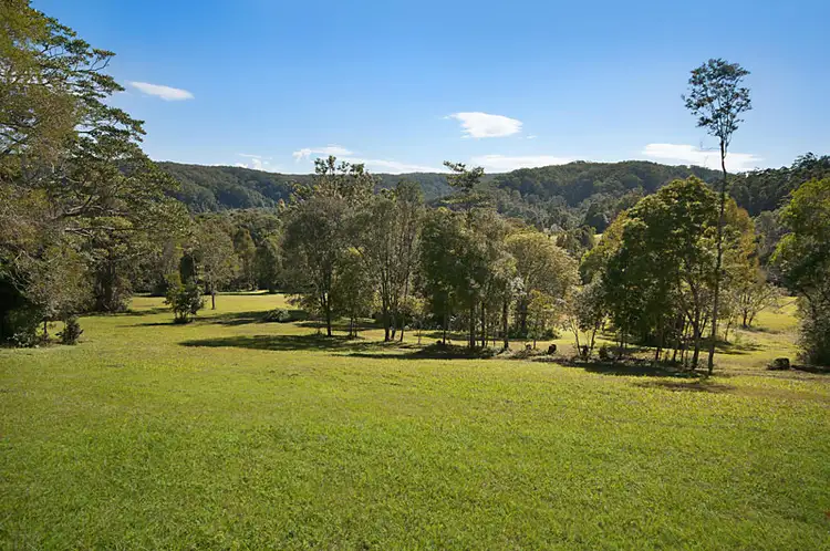 Main view of Homely rural property listing, # 53 Fox Road, Rosebank NSW 2480