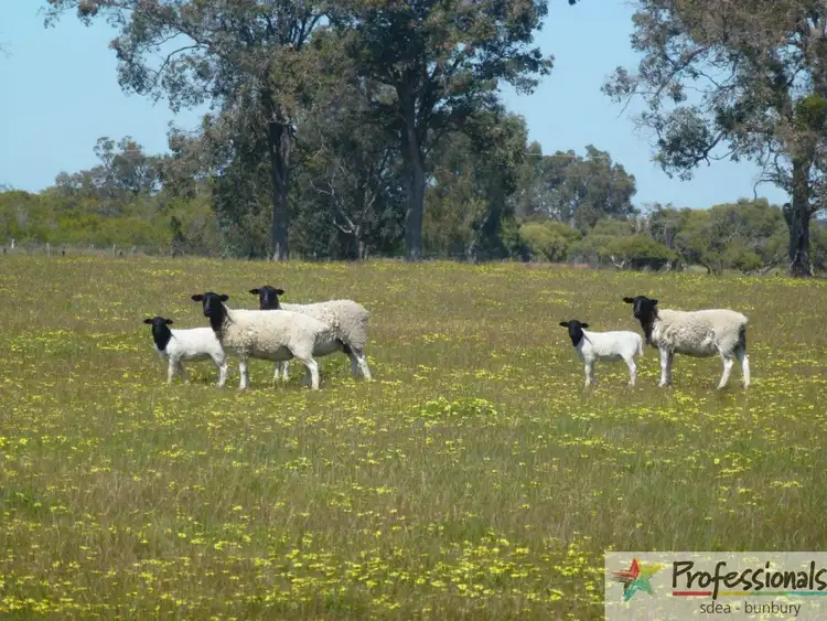 Seventh view of Homely rural property listing, 134 Dutchman Road, West Coolup WA 6214