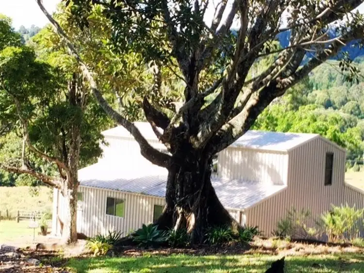 Fourth view of Homely rural property listing, 48 Kirkland Road, Nimbin NSW 2480
