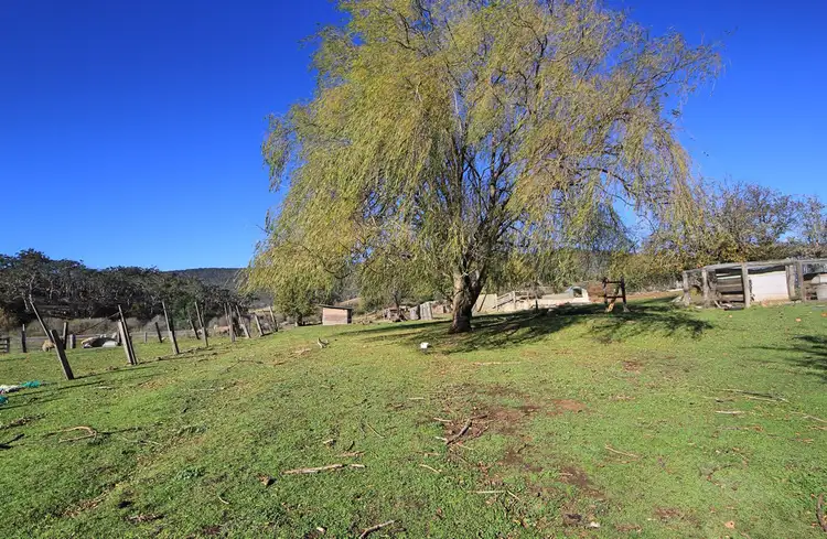 Fifth view of Homely land listing, Lot 1 Stieglitz Street, Fingal TAS 7214