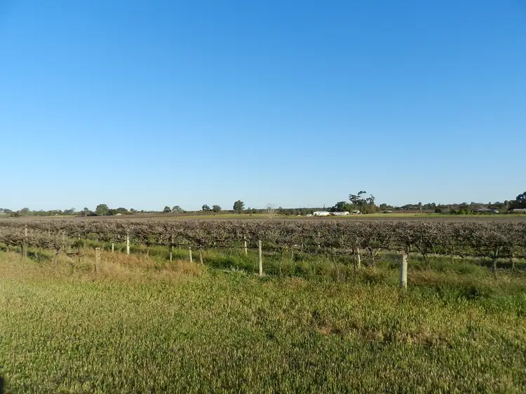433 & 818 Hoffman Road, Loveday SA 5345