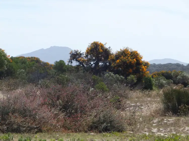 Sixth view of Homely land listing, 24 Boronia Street, Hopetoun WA 6348