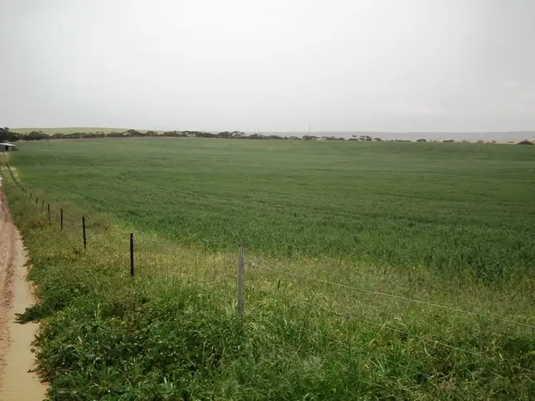 Fifth view of Homely rural property listing, "Home Place" Secs 32, 33 and 39 Hd of Boonerdo, Lock SA 5633