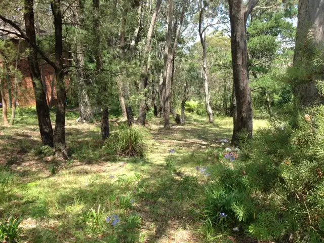 247 Govetts Leap Road, Blackheath NSW 2785