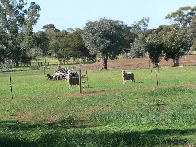 Sixth view of Homely rural property listing, 34 Carter Road, York WA 6302