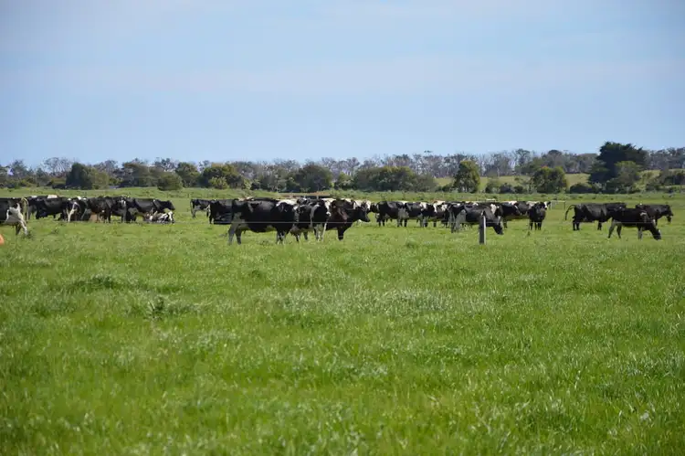 Third view of Homely rural property listing, 425 Stewart & Dunlops Road, Tarwin VIC 3956