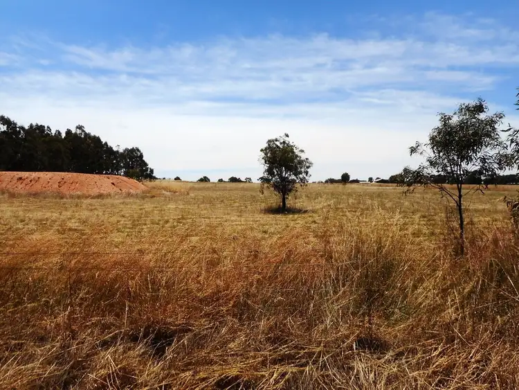 Lot 432 Nelson Street, Broomehill WA 6318